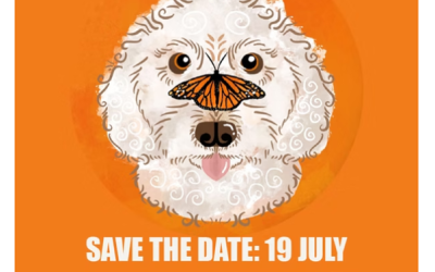 HeyDay Karma Keg tile showing a dog with an orange monarch butterfly on its nose against an orange background